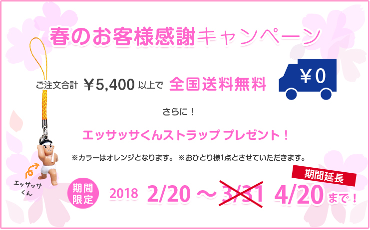 キャンペーン詳細